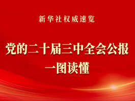 党的二十届三中全会公报一图读懂